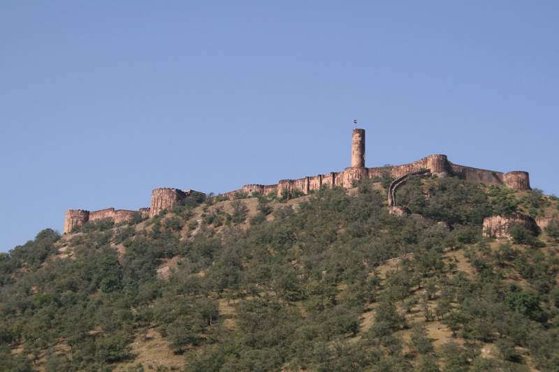 India & Nepal 2011 - 1369